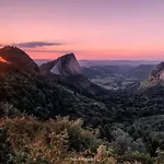 Frimousse - Les Elfes